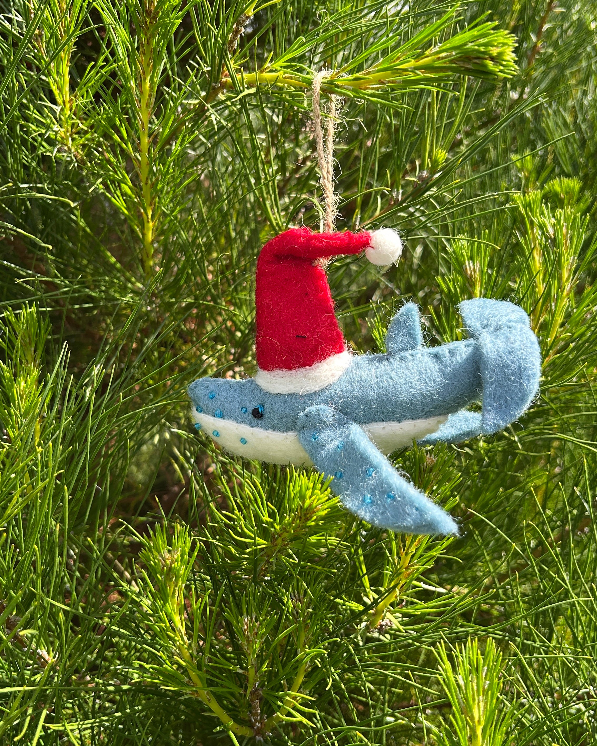 Christmas_Humpback_Sky_Gypsies