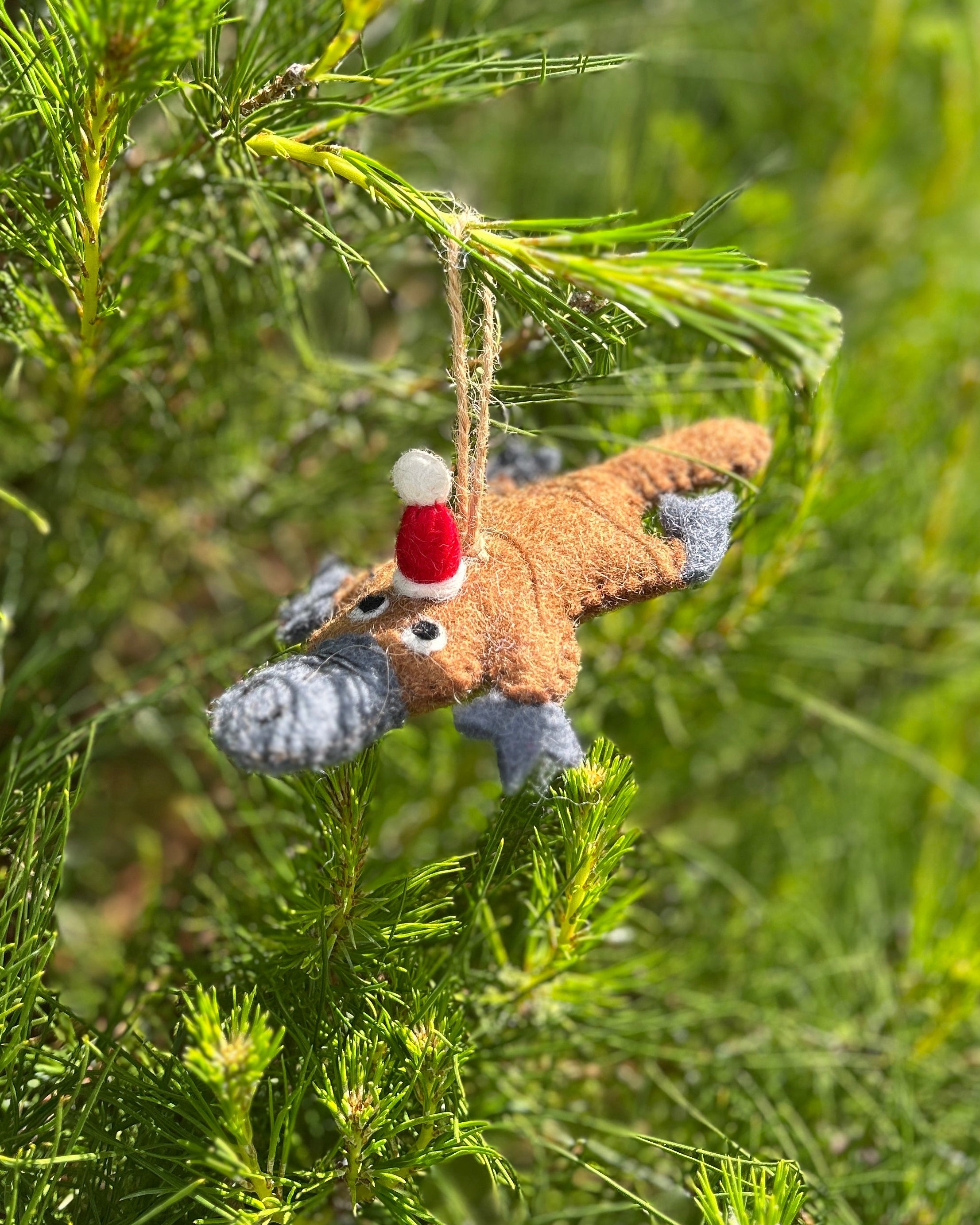 Small platypus ornament with a red hat hanging on a tree branch