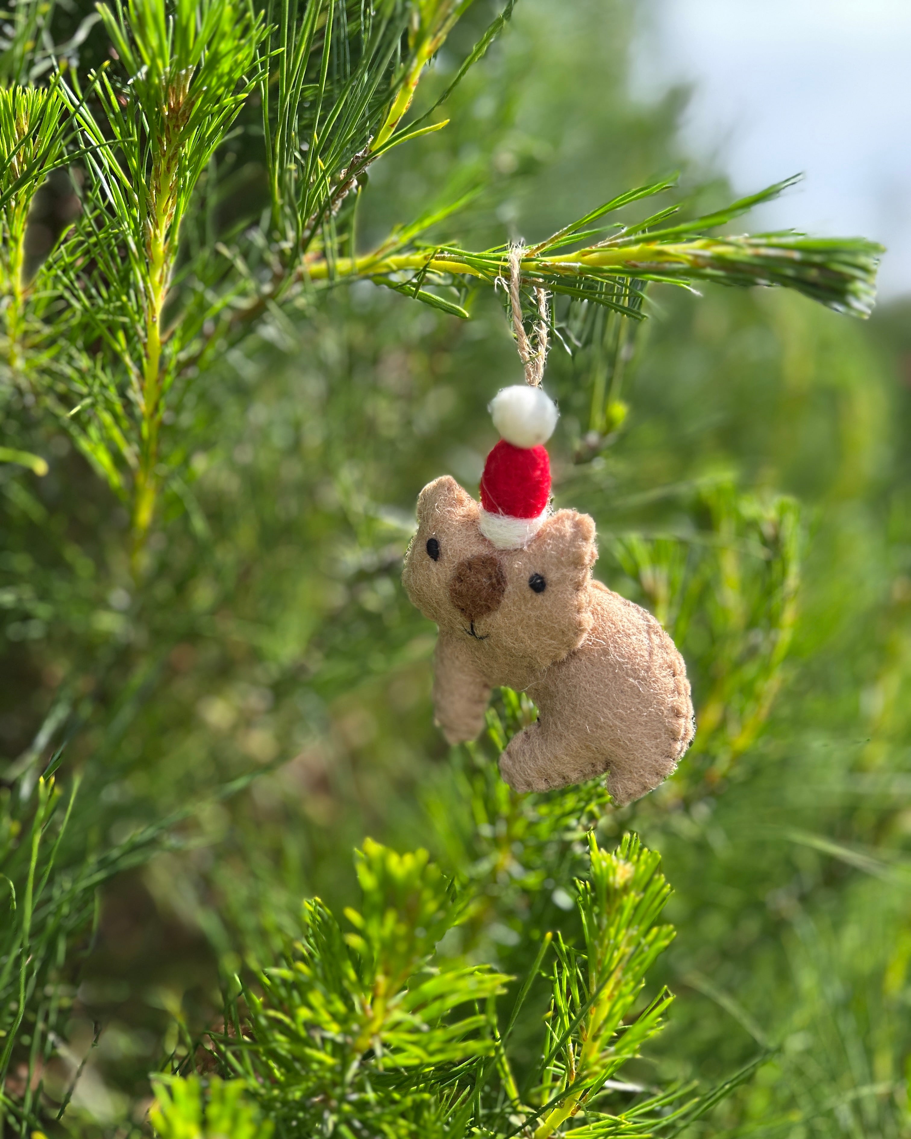 Small wombat ornament with a red hat hanging on a tree branch